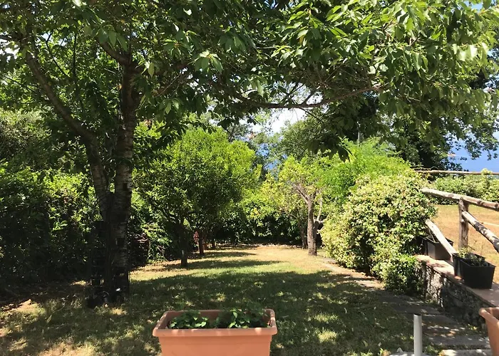 Rosamaria - Lucania Experience Alloggio in famiglia *